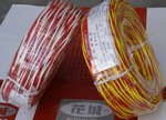 花城珠江RVS电线电缆